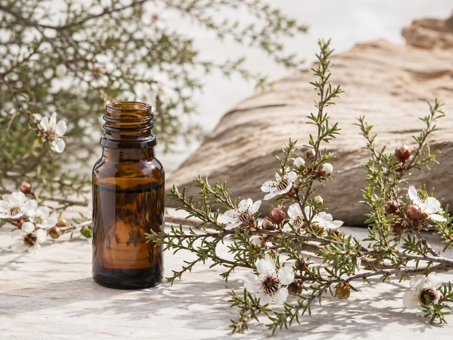Manuka Essential Oil
