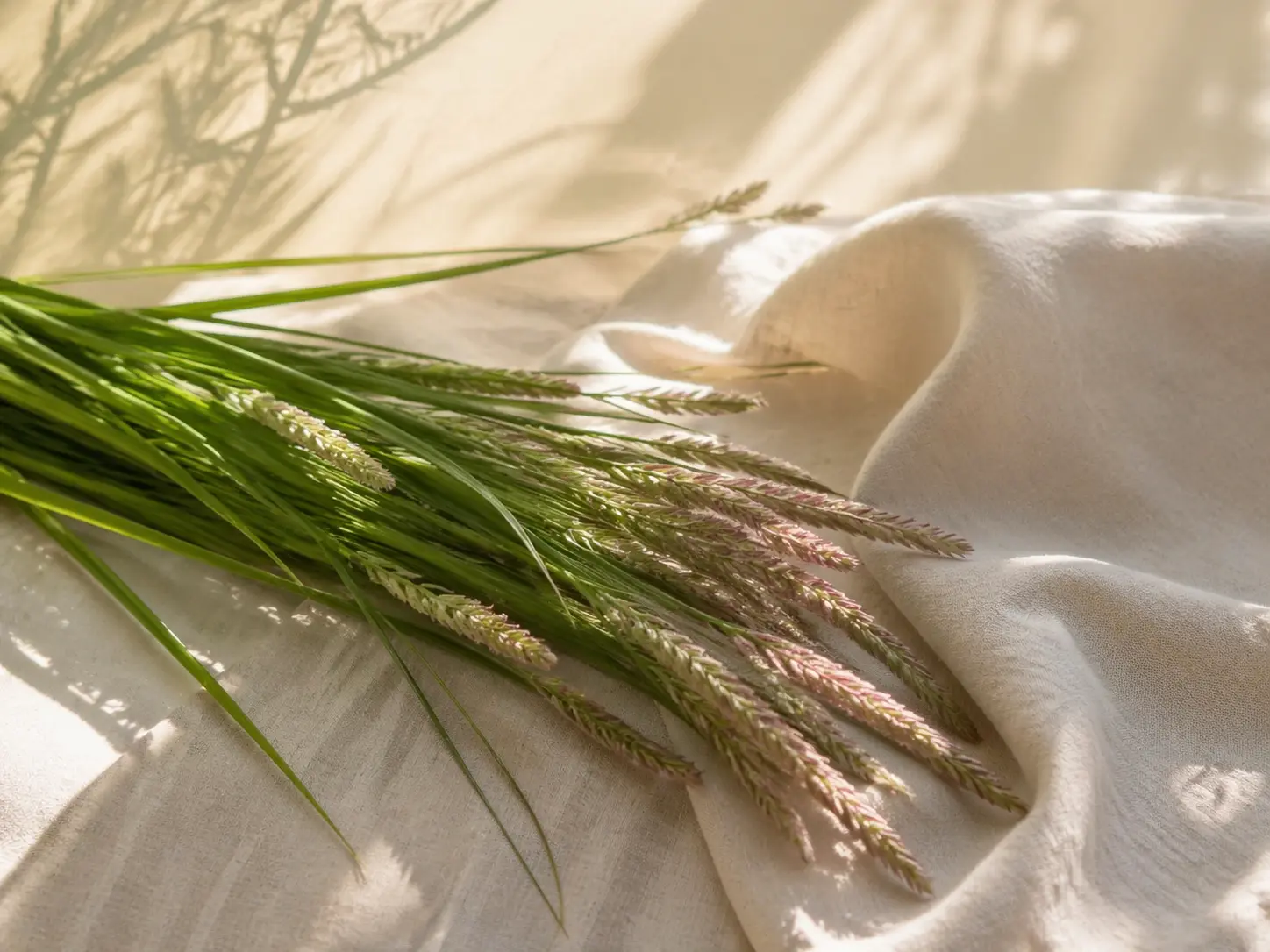 Palmarosa grass in soft pink morning light with a calm botanical background