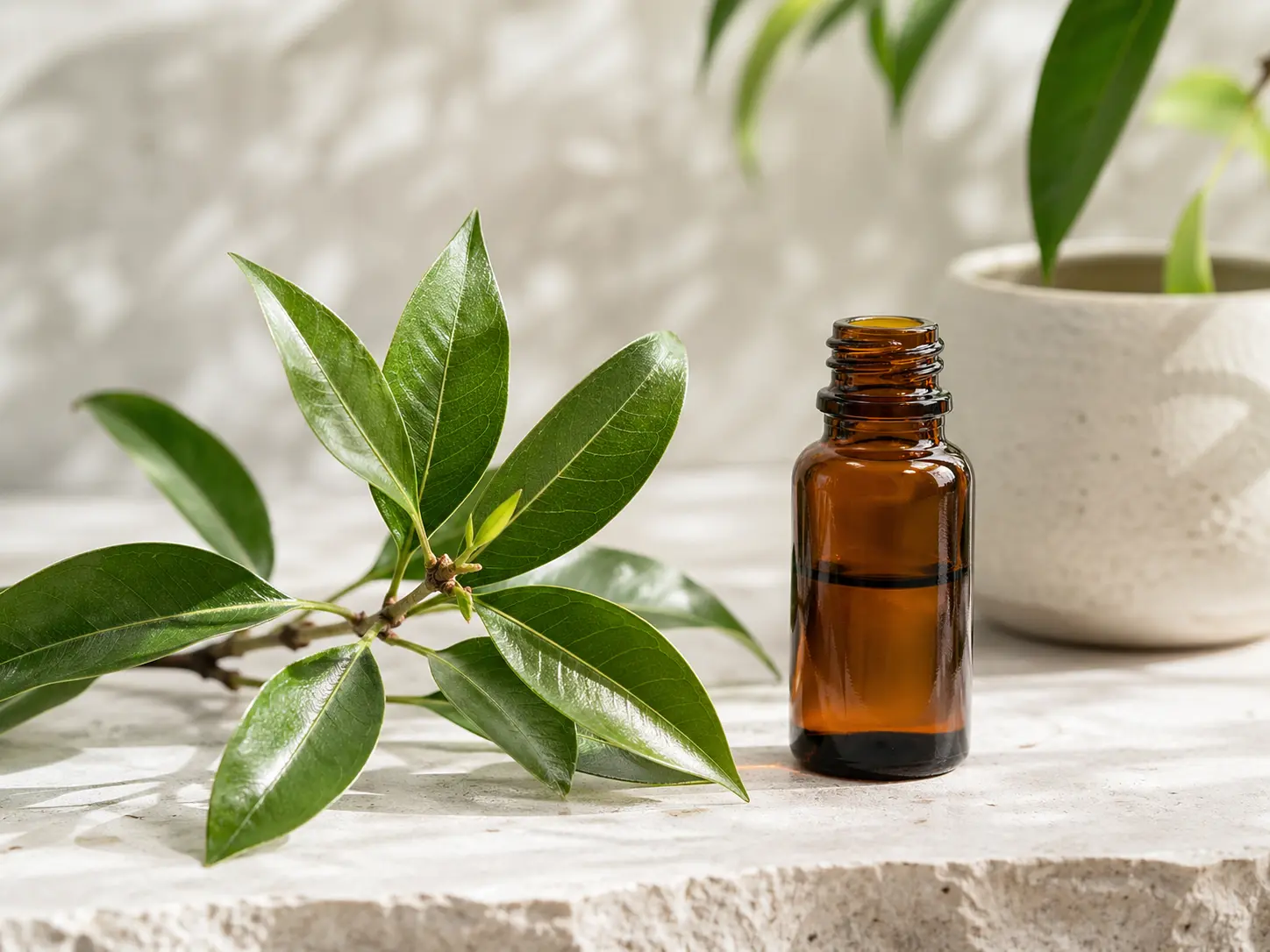 Ravintsara Essential Oil: A Premium Guide to Identity, Confusion, Freshness, and Serious Comparison