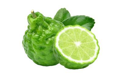 Bergamot essential oil