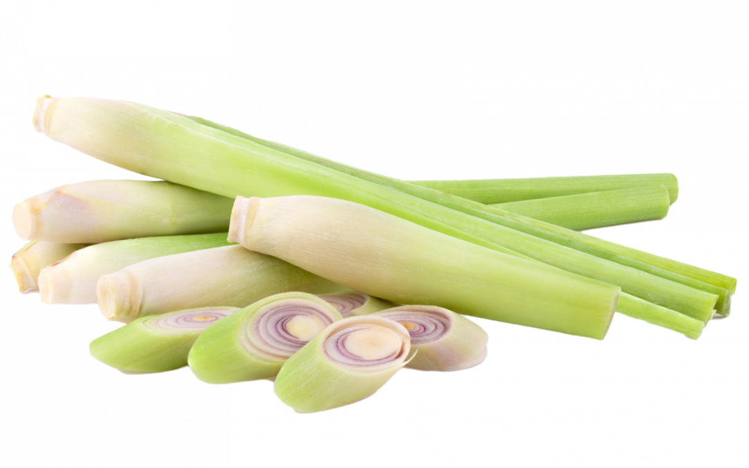 Lemongrass essential oil